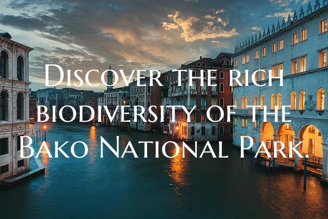 Discover the rich biodiversity of the Bako Nationa...