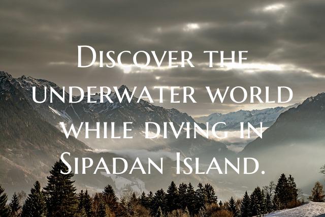 Discover the underwater world while diving in Sipa...