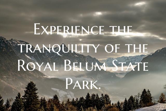 Experience the tranquility of the Royal Belum Stat...