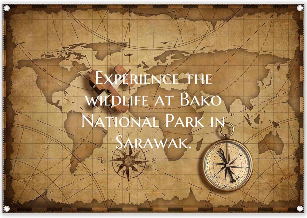 Experience the wildlife at Bako National Park in S...