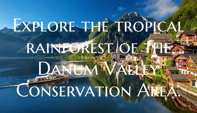 Explore the tropical rainforest of the Danum Valle...